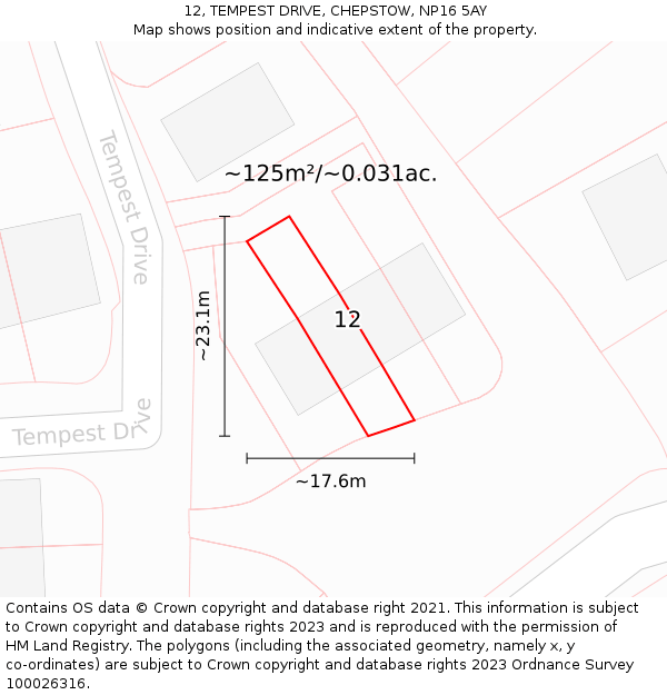 12, TEMPEST DRIVE, CHEPSTOW, NP16 5AY: Plot and title map