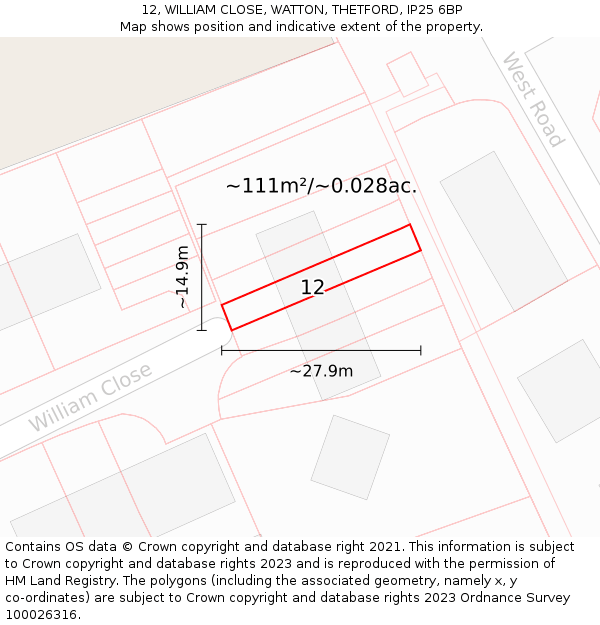 12, WILLIAM CLOSE, WATTON, THETFORD, IP25 6BP: Plot and title map