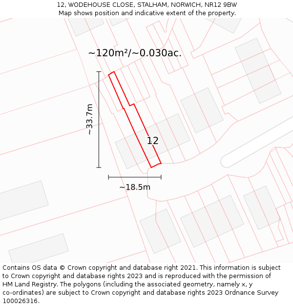 12, WODEHOUSE CLOSE, STALHAM, NORWICH, NR12 9BW: Plot and title map