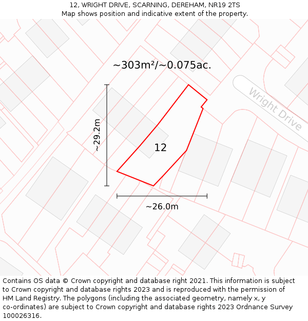 12, WRIGHT DRIVE, SCARNING, DEREHAM, NR19 2TS: Plot and title map