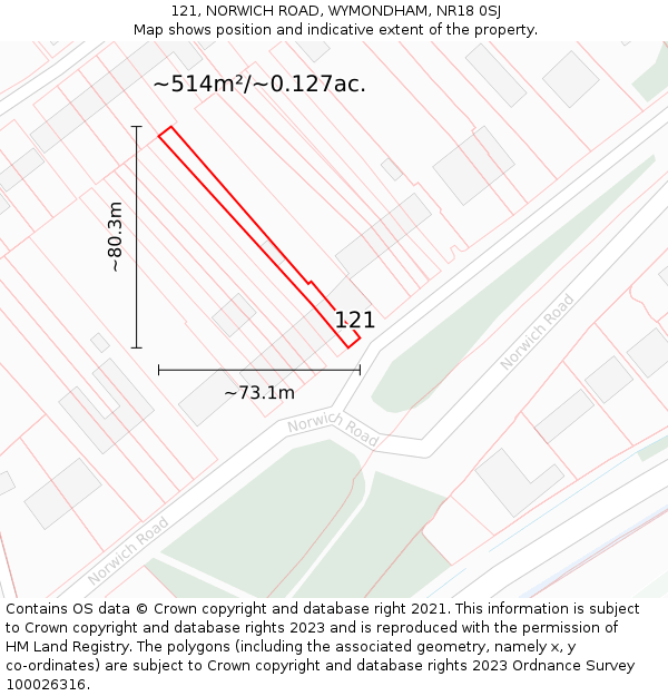121, NORWICH ROAD, WYMONDHAM, NR18 0SJ: Plot and title map