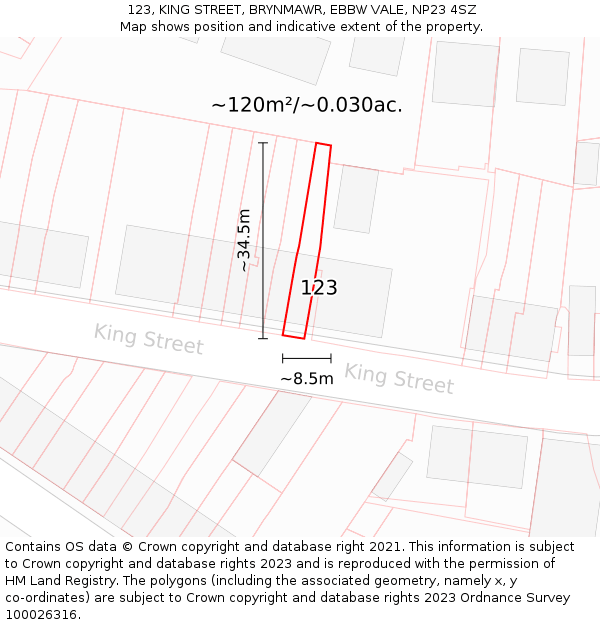 123, KING STREET, BRYNMAWR, EBBW VALE, NP23 4SZ: Plot and title map