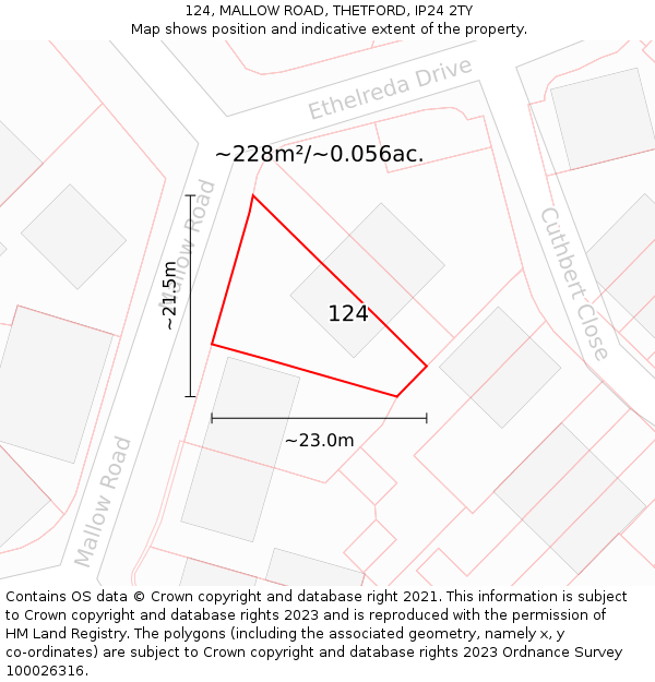 124, MALLOW ROAD, THETFORD, IP24 2TY: Plot and title map