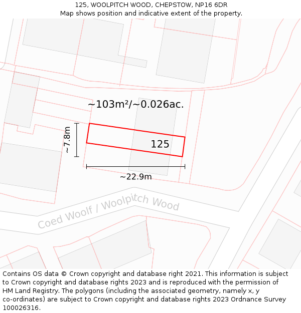 125, WOOLPITCH WOOD, CHEPSTOW, NP16 6DR: Plot and title map