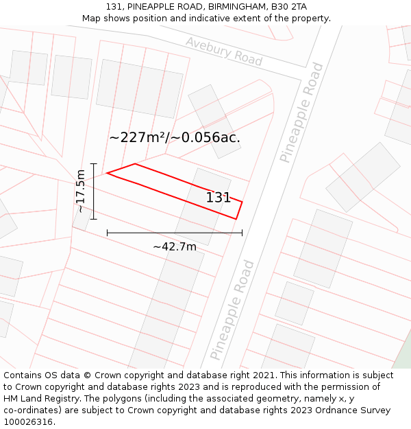 131, PINEAPPLE ROAD, BIRMINGHAM, B30 2TA: Plot and title map