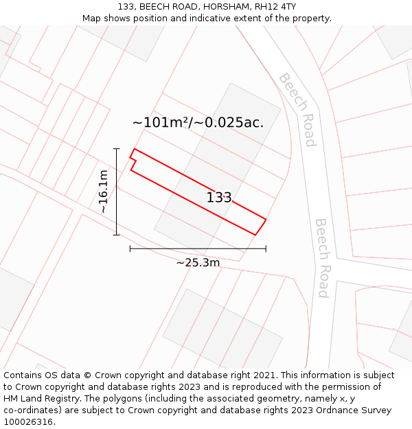 133, BEECH ROAD, HORSHAM, RH12 4TY: Plot and title map