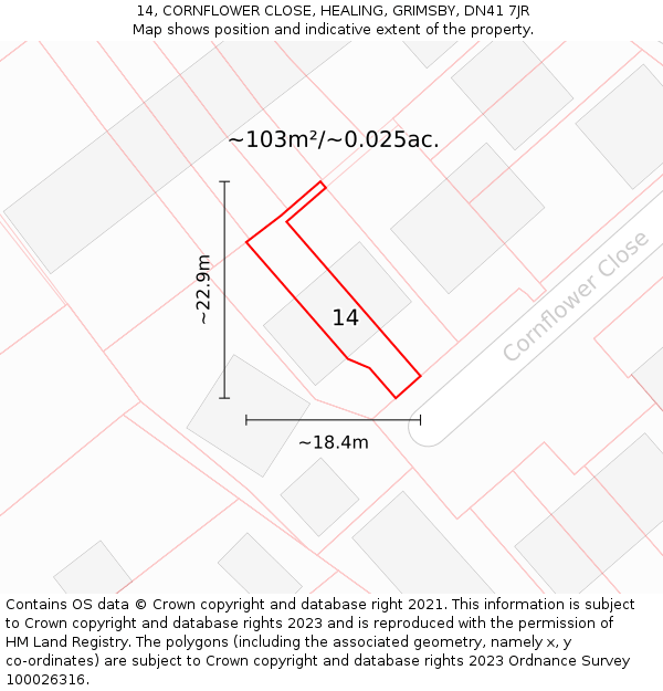14, CORNFLOWER CLOSE, HEALING, GRIMSBY, DN41 7JR: Plot and title map