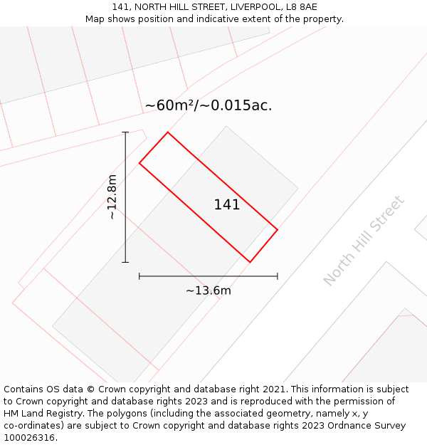 141, NORTH HILL STREET, LIVERPOOL, L8 8AE: Plot and title map