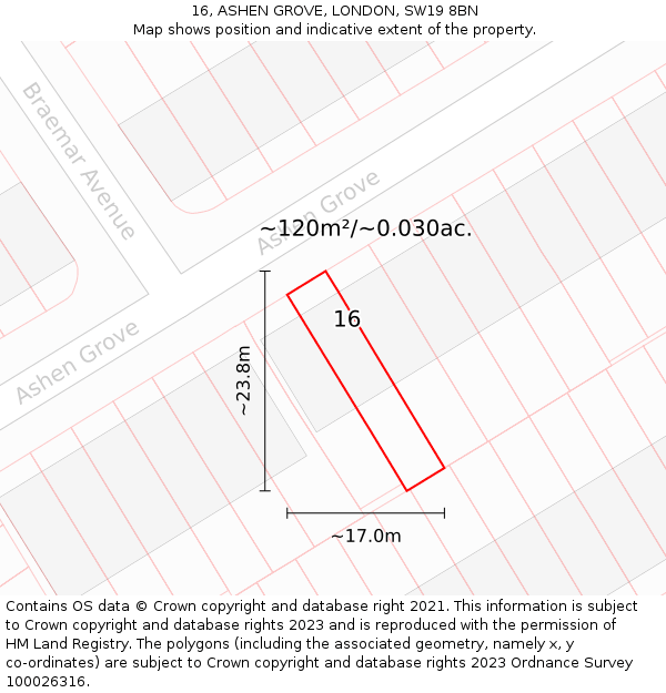 16, ASHEN GROVE, LONDON, SW19 8BN: Plot and title map