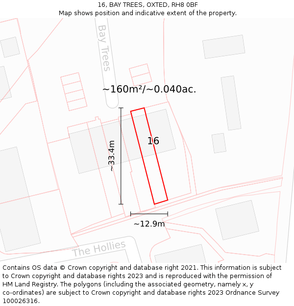 16, BAY TREES, OXTED, RH8 0BF: Plot and title map