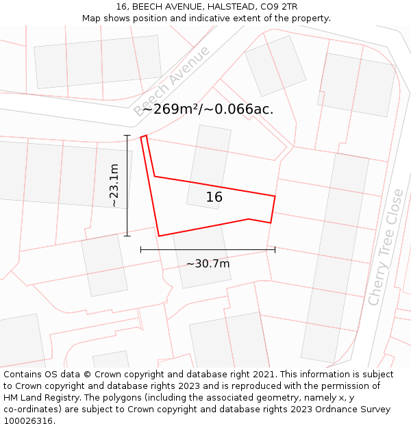 16, BEECH AVENUE, HALSTEAD, CO9 2TR: Plot and title map