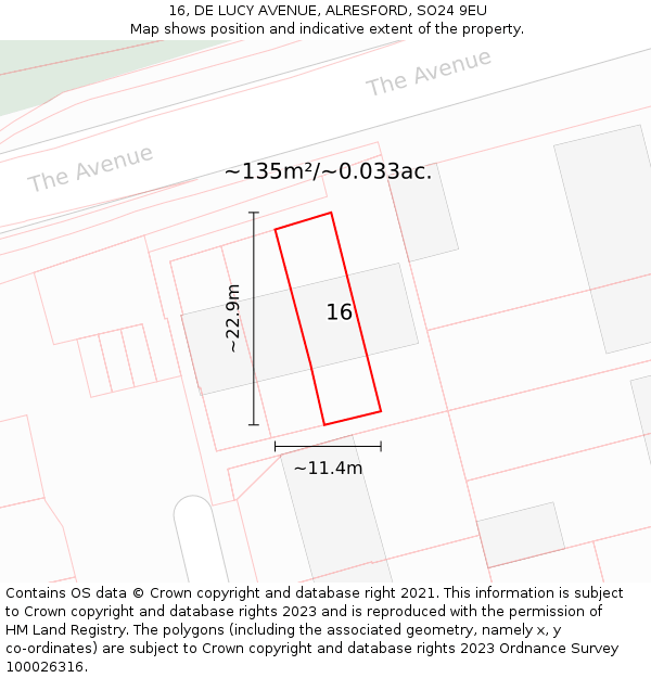 16, DE LUCY AVENUE, ALRESFORD, SO24 9EU: Plot and title map