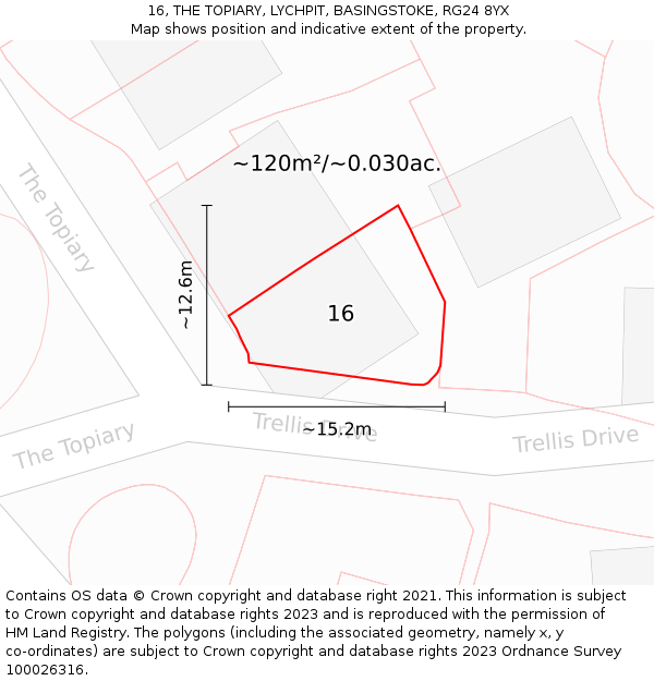 16, THE TOPIARY, LYCHPIT, BASINGSTOKE, RG24 8YX: Plot and title map