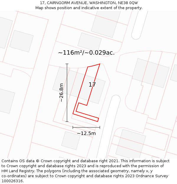 17, CAIRNGORM AVENUE, WASHINGTON, NE38 0QW: Plot and title map