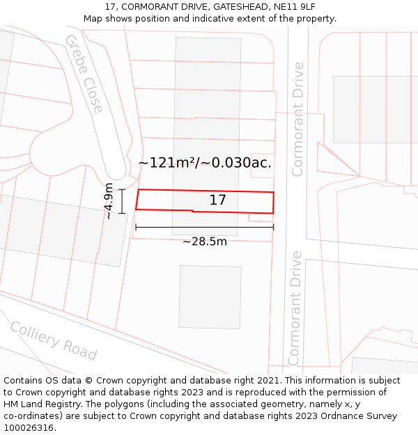 17, CORMORANT DRIVE, GATESHEAD, NE11 9LF: Plot and title map