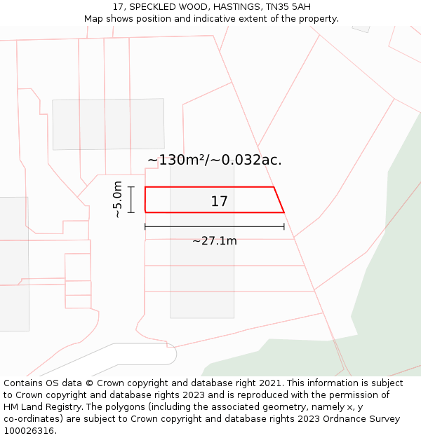 17, SPECKLED WOOD, HASTINGS, TN35 5AH: Plot and title map