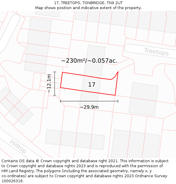 17, TREETOPS, TONBRIDGE, TN9 2UT: Plot and title map