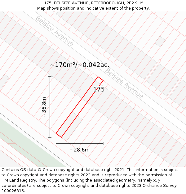 175, BELSIZE AVENUE, PETERBOROUGH, PE2 9HY: Plot and title map