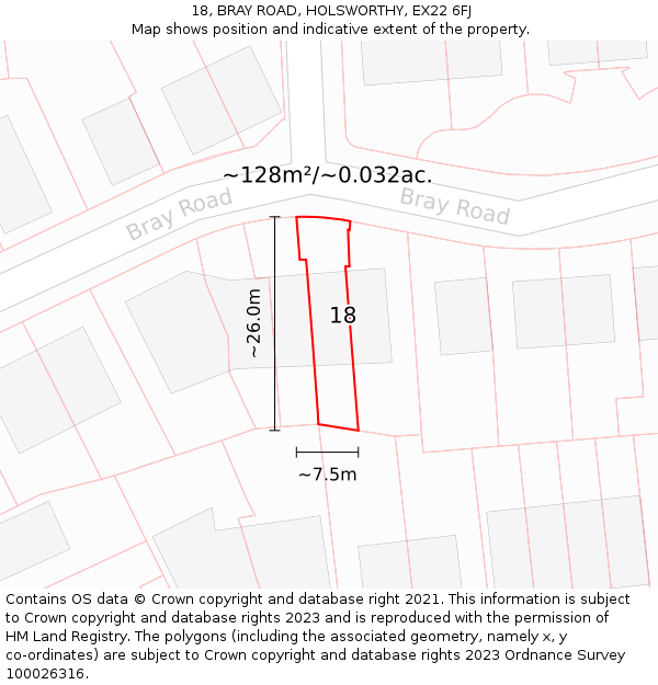 18, BRAY ROAD, HOLSWORTHY, EX22 6FJ: Plot and title map