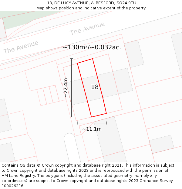 18, DE LUCY AVENUE, ALRESFORD, SO24 9EU: Plot and title map