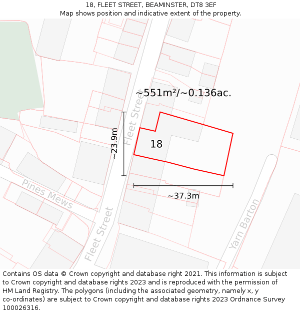 18, FLEET STREET, BEAMINSTER, DT8 3EF: Plot and title map