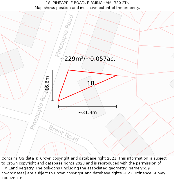 18, PINEAPPLE ROAD, BIRMINGHAM, B30 2TN: Plot and title map
