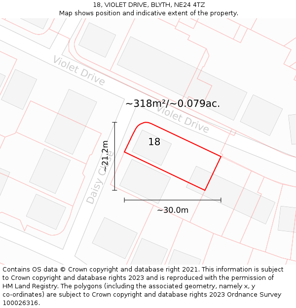 18, VIOLET DRIVE, BLYTH, NE24 4TZ: Plot and title map