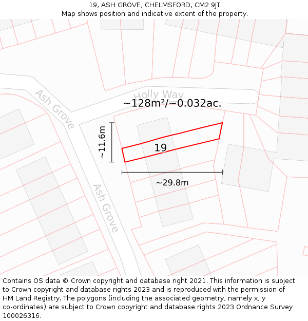 19, ASH GROVE, CHELMSFORD, CM2 9JT: Plot and title map