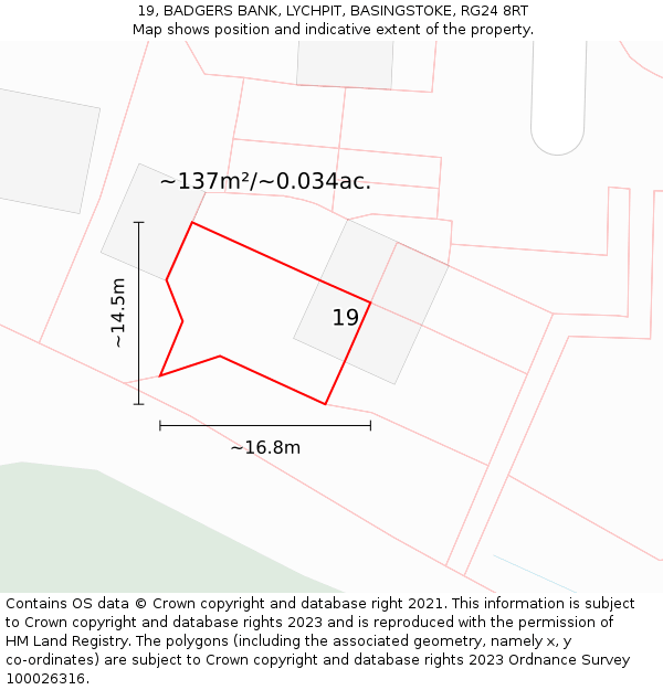 19, BADGERS BANK, LYCHPIT, BASINGSTOKE, RG24 8RT: Plot and title map