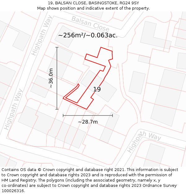 19, BALSAN CLOSE, BASINGSTOKE, RG24 9SY: Plot and title map