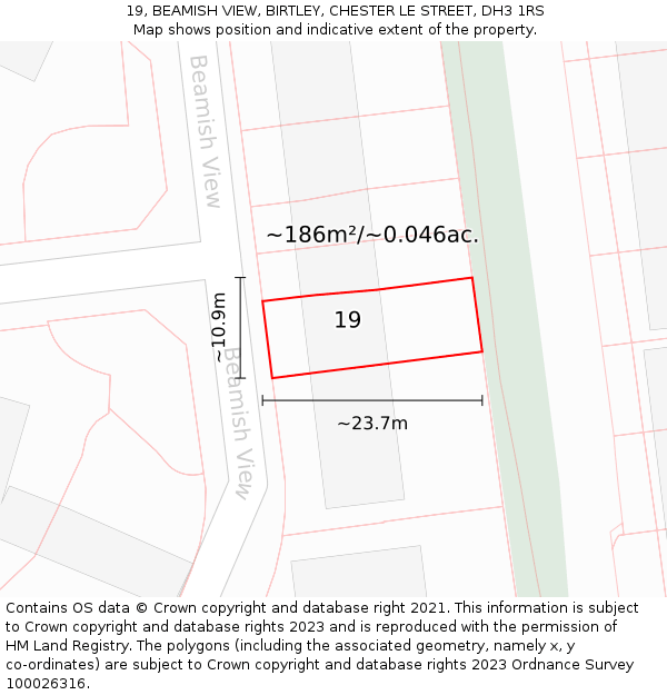 19, BEAMISH VIEW, BIRTLEY, CHESTER LE STREET, DH3 1RS: Plot and title map
