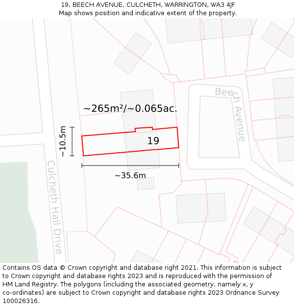 19, BEECH AVENUE, CULCHETH, WARRINGTON, WA3 4JF: Plot and title map