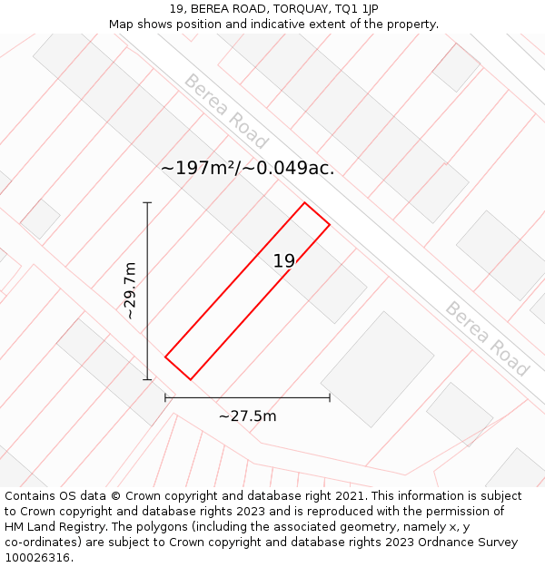 19, BEREA ROAD, TORQUAY, TQ1 1JP: Plot and title map
