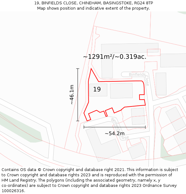 19, BINFIELDS CLOSE, CHINEHAM, BASINGSTOKE, RG24 8TP: Plot and title map