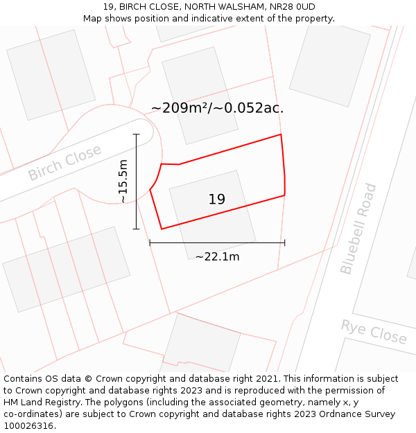 19, BIRCH CLOSE, NORTH WALSHAM, NR28 0UD: Plot and title map
