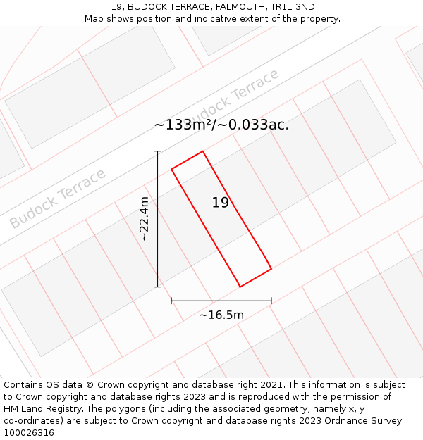 19, BUDOCK TERRACE, FALMOUTH, TR11 3ND: Plot and title map