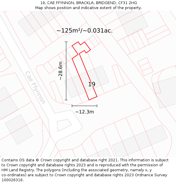 19, CAE FFYNNON, BRACKLA, BRIDGEND, CF31 2HG: Plot and title map