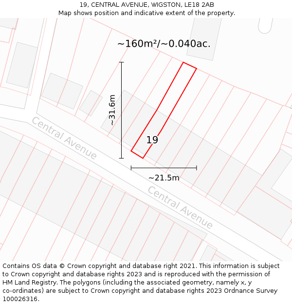 19, CENTRAL AVENUE, WIGSTON, LE18 2AB: Plot and title map