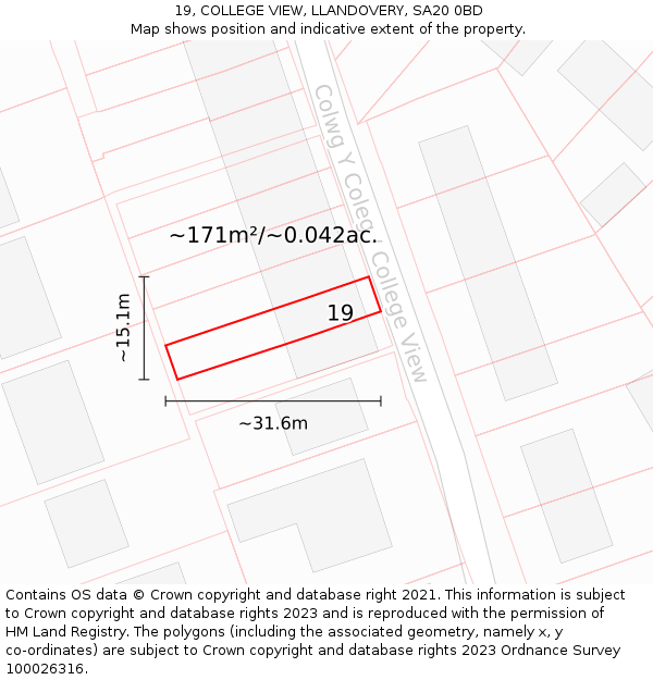 19, COLLEGE VIEW, LLANDOVERY, SA20 0BD: Plot and title map