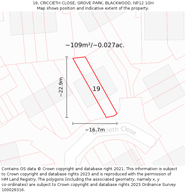19, CRICCIETH CLOSE, GROVE PARK, BLACKWOOD, NP12 1GH: Plot and title map