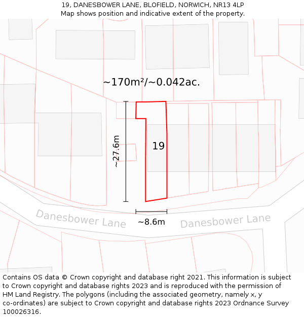 19, DANESBOWER LANE, BLOFIELD, NORWICH, NR13 4LP: Plot and title map