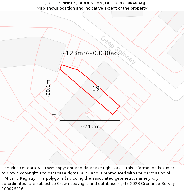 19, DEEP SPINNEY, BIDDENHAM, BEDFORD, MK40 4QJ: Plot and title map