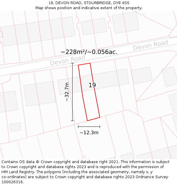 19, DEVON ROAD, STOURBRIDGE, DY8 4SS: Plot and title map
