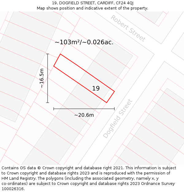 19, DOGFIELD STREET, CARDIFF, CF24 4QJ: Plot and title map
