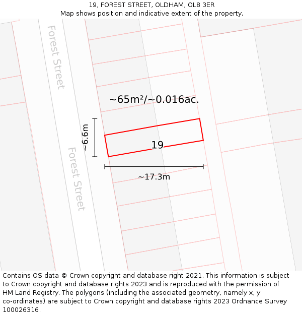 19, FOREST STREET, OLDHAM, OL8 3ER: Plot and title map