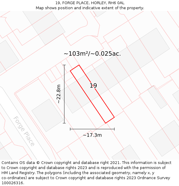 19, FORGE PLACE, HORLEY, RH6 0AL: Plot and title map