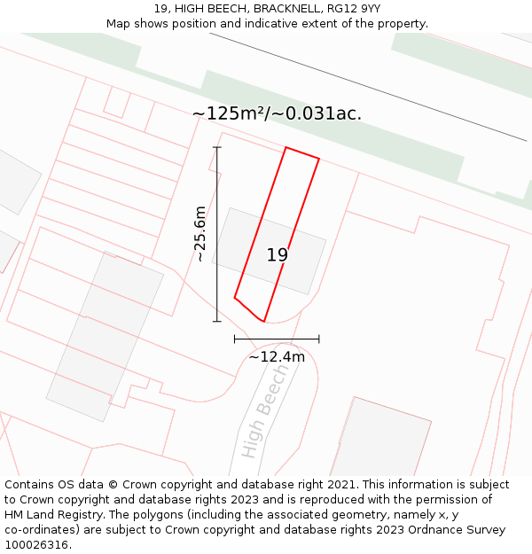 19, HIGH BEECH, BRACKNELL, RG12 9YY: Plot and title map