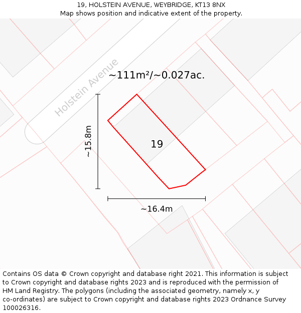 19, HOLSTEIN AVENUE, WEYBRIDGE, KT13 8NX: Plot and title map