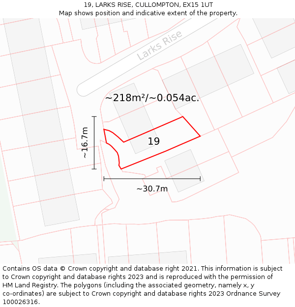 19, LARKS RISE, CULLOMPTON, EX15 1UT: Plot and title map