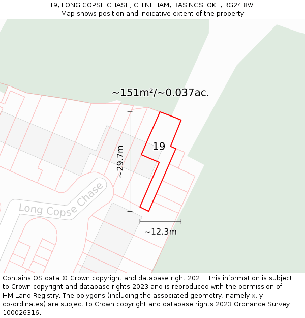 19, LONG COPSE CHASE, CHINEHAM, BASINGSTOKE, RG24 8WL: Plot and title map